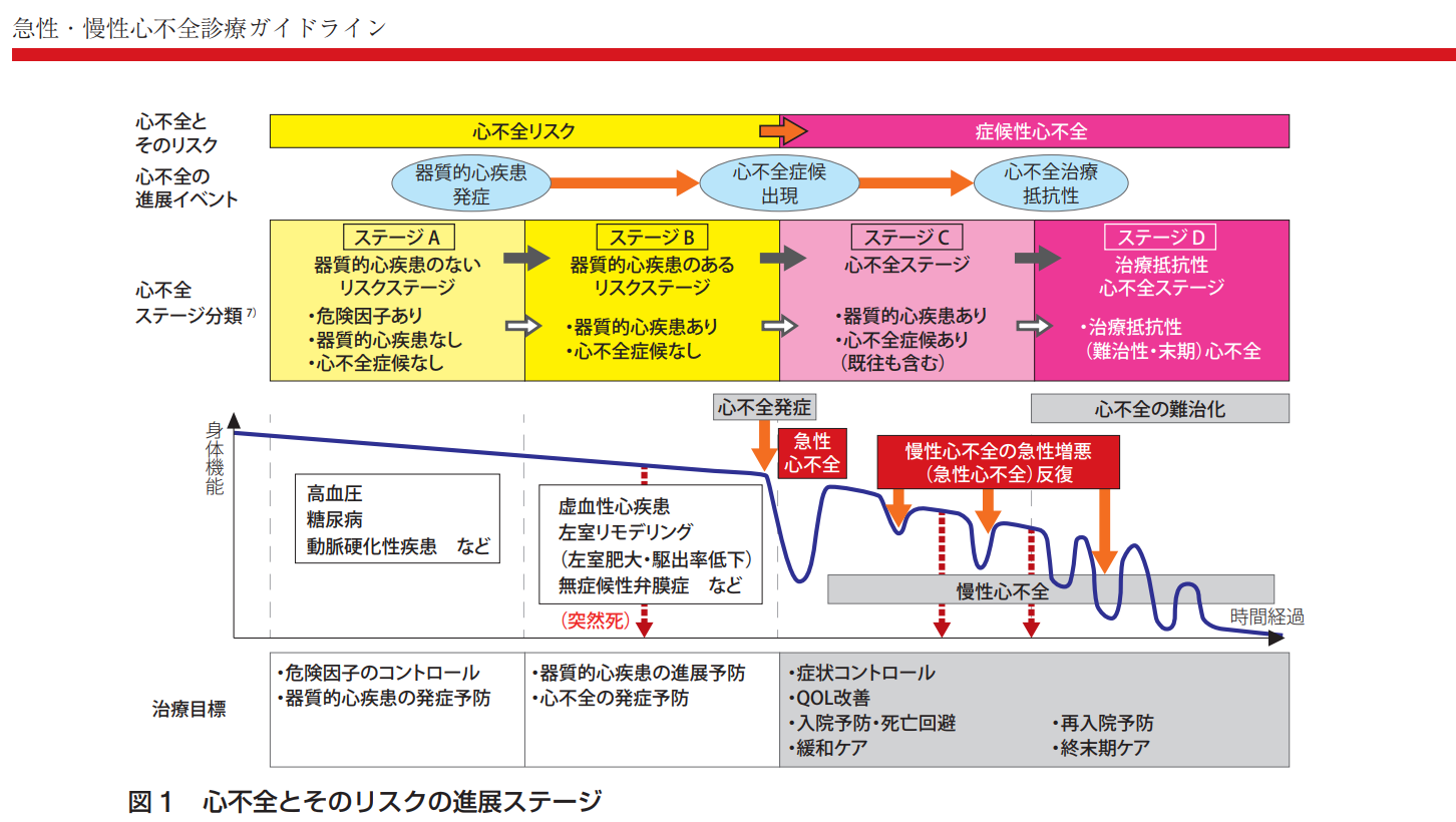 循環器内科.com」に「心不全」についてまとめました。 | お茶の水循環 