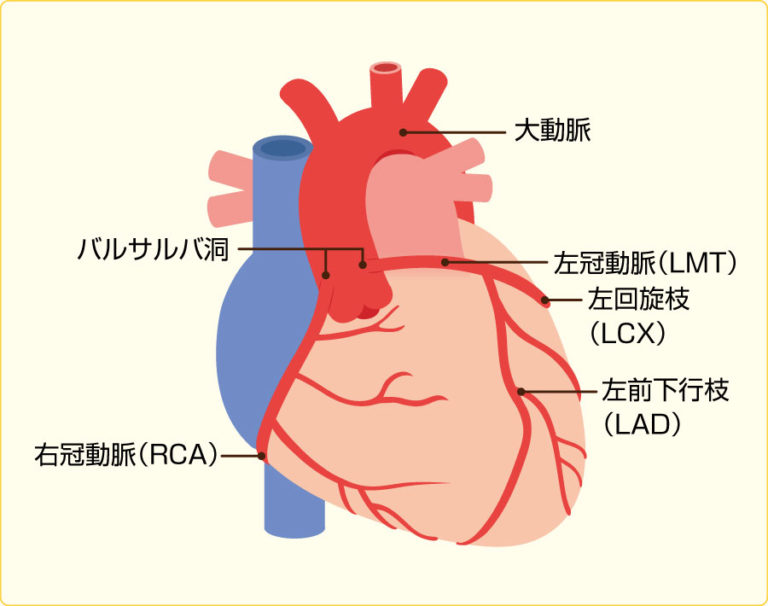 早発性冠動脈疾患を発症する典型的な年齢はありますか?